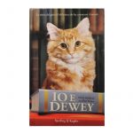 WhatsApp Image 2025-04-23 at 11.49.02